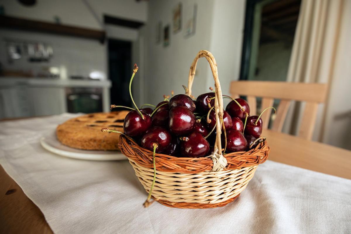 Piancasalemia Daire Londa Dış mekan fotoğraf